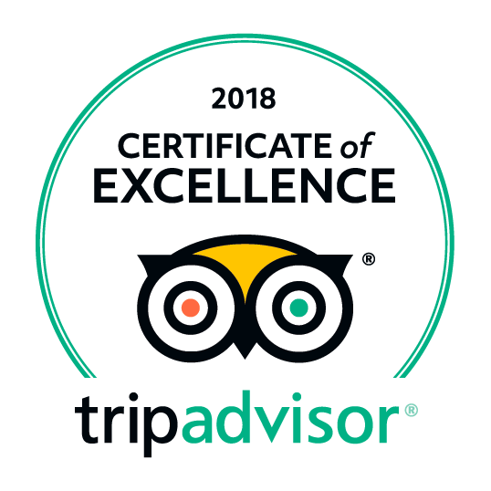 tripadvisor